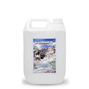 GOMUKH” Gangajal The Purest Holy Water Directly from Gangotri Valley Approved by Govt. of Uttrakhand for Puja Purposes 5 Litre