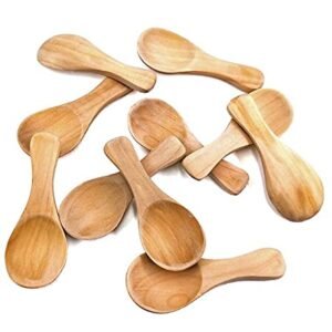 Raja handicraft Neem Wooden Spice Spoons (4 inch) - Set of 10