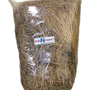 Puja N Pujari Vetiver Lavancha Roots/Khus Khus Grass for Puja and Havan (500)