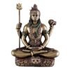 HaridwarDivine Antique Look Polyresin (Cold Cast) Shiv Ji Murti for Pooja Room I Home Temple Decoration Items Homes